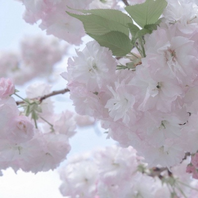 兽设雨夜场景创作FurryQQ群